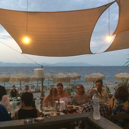 Magnolia * Plátanos