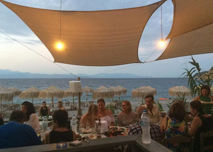 Magnolia * Plátanos